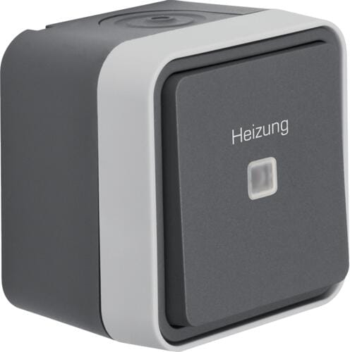 Berker 35663505 Kontroll-Wechselschalter mit Aufdruck "Heizung Notschalter", Aufputz, W.1, grau/lichtgrau matt