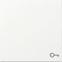 Gira 328727 Wippe mit Schlüssel/Türsymbol, 1fach, System 55, Reinweiß seidenmatt (lackiert)