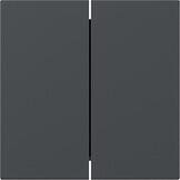 Gira 349528 Wippe, gerade, 2fach, System 55, Anthrazit (lackiert)