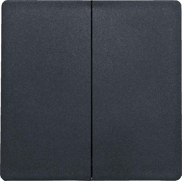 Eltako Doppelwippe für Funktaster und Funktaster mit Batterie im E-Design55 ungraviert, anthrazit matt (30055922)