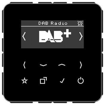 Jung DABCDSW Smart Radio DAB+, schwarz