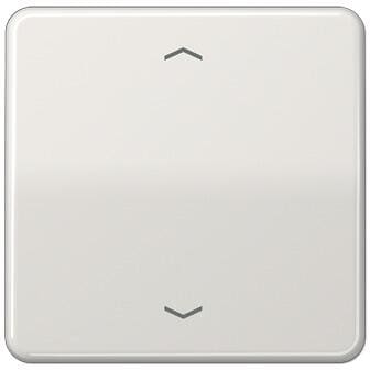 Jung CD101PLG Wippe mit Pfeilsymbolen, Serie CD, lichtgrau