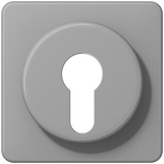 Jung CD528GR Abdeckung für Schlüsselschalter, grau