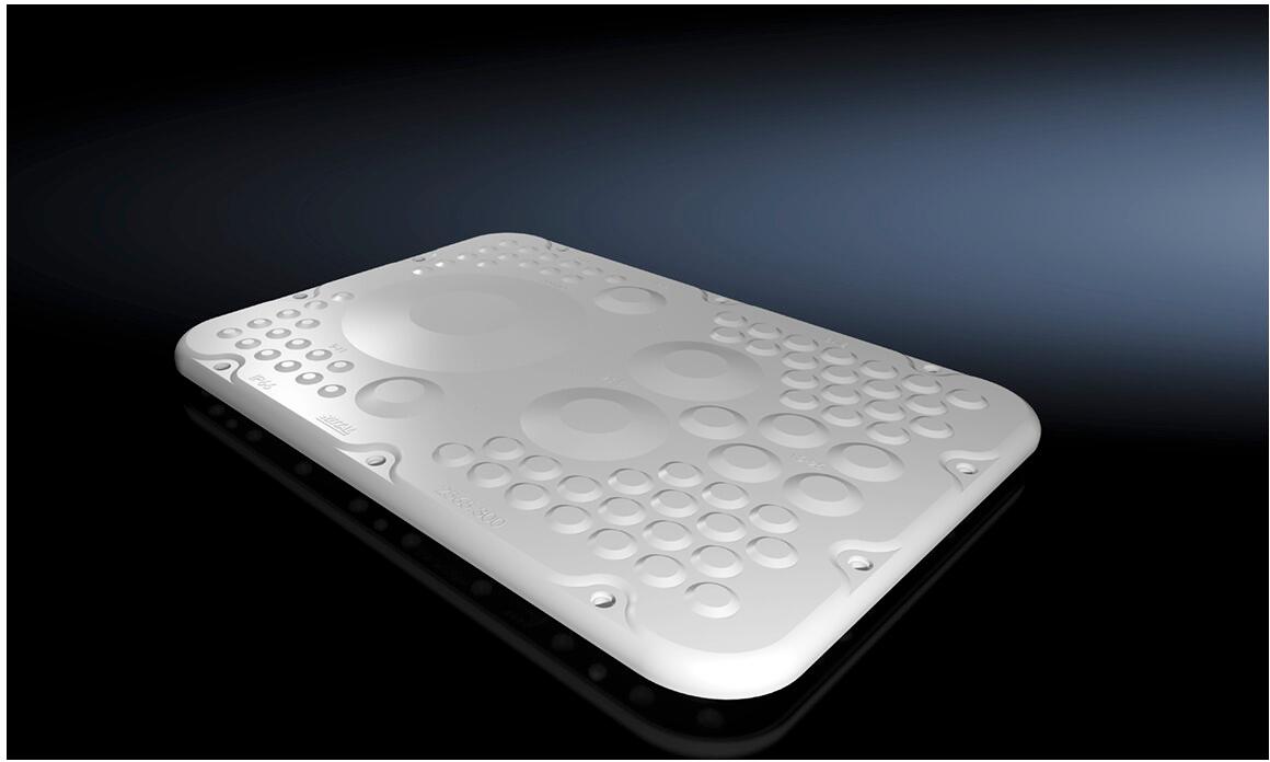 Rittal SZ 2565.300 Kunststoff-Flanschplatten, für AX, mit Membranen, BT: 301x221 mm, für Flanschplatten Größe 5