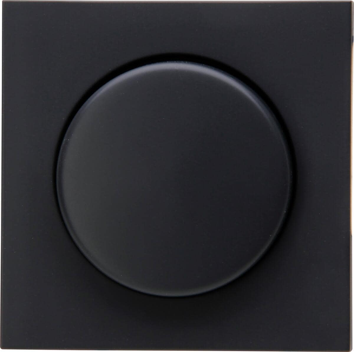 Kopp Dimmer-Abdeckung für Druck-Wechseldimmer, HK07, anthrazit (490615005)