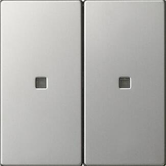 Gira 5369600 System 3000 Wippe, 2fach, unbedruckt, System 55, edelstahl