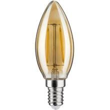 Paulmann 1879 Filament 230V LED Kerze E14 Non Dim 160lm 2W 1700K, gold (28524)