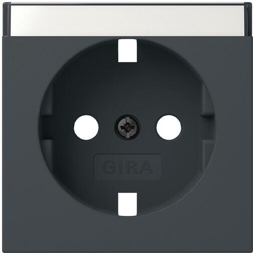Gira 494728 Abdeckung für SCHUKO-Steckdose 16 A 250 V~ mit Beschriftungsfeld System 55 Anthrazit