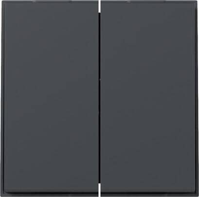Gira 349567 Wippe, gerade, 2fach, TX_44, anthrazit (lackiert)