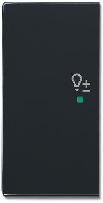 Busch-Jaeger 6234-21-81 Wippe 2-fach links, mit Symbol "Dimmer", passend zu future linear, free@home, anthrazit (2CKA006220A0059)
