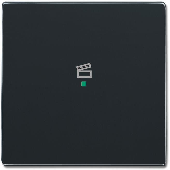 Busch-Jaeger 6233-10-81 Wippe 1-fach, mit Symbol "Szene", passend zu future linear, free@home, anthrazit (2CKA006220A0041)