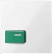 Zentralplatte für Abstelltaster, grün, polarweiß glänzend, Merten 451519