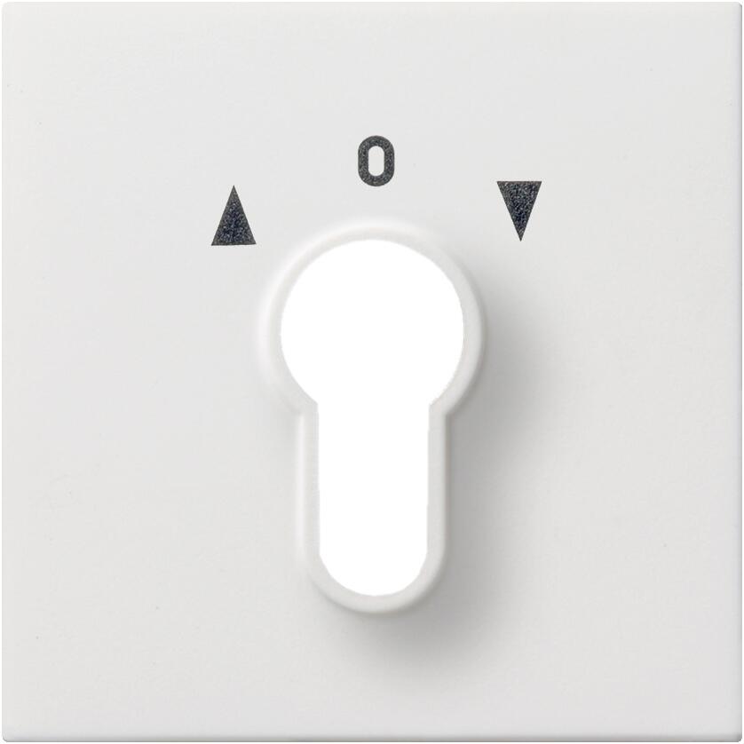 Gira 0664112 Abdeckung für Schlüsselschalter 2polig und Schlüsseltaster 1polig, Flächenschalter, Reinweiß glänzend