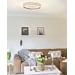 Paul Neuhaus Q-Vito LED-Deckenleuchte, 39W, 4000lm, Smart Home, stahlfarben (8416-55)