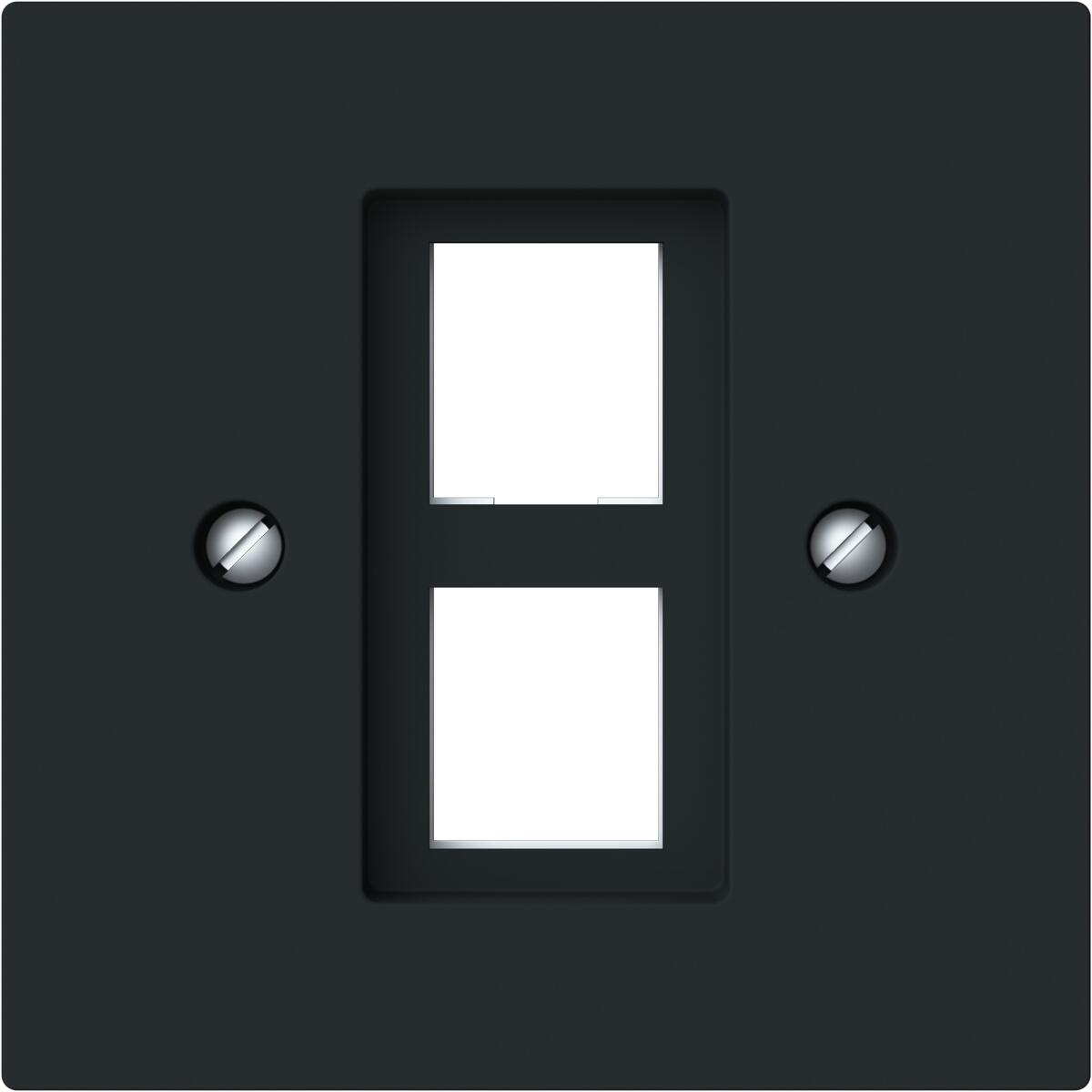 Busch-Jaeger 2561-02-45M Zentralscheibe mit Tragring Modular-Jack-Einsatz, Busch-art linear, 2-fach, schwarz matt (2CKA001753A9929)