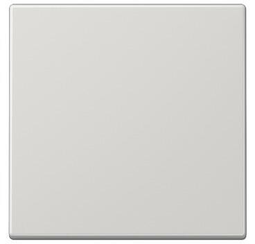 Jung ENOLS990LG ENO Funk Wandsender 2 kanalig, Lichtgrau