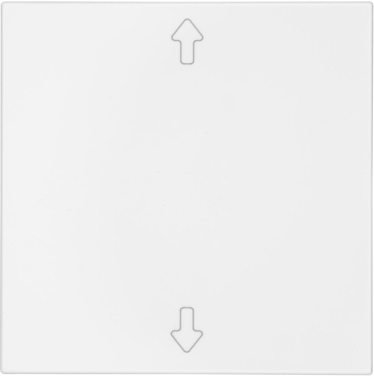 OPUS 55 Flächenwippe für BRiDGE und Wandsender-Modul, Symbol Pfeil, polarweiß-seidenmatt (514.443.66)
