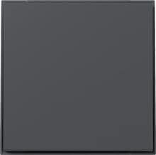 Gira 349667 Wippe, gerade, 1fach, TX_44, anthrazit (lackiert)