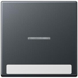 Jung A590BFNAKO5ANM Wippe mit Lichtleiter und Schriftfeld 6 x 46 mm, Serie A, anthrazit matt