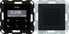 Gira 2280005 Unterputz-Radio RDS mit einem Lautsprecher Bedienaufsatz in Schwarzglasoptik, System 55, schwarz matt