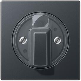 Jung A1541BFANM Abdeckung für Drehschalter u.a., Thermoplast lackiert, anthrazit matt