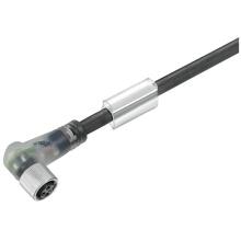 Weidmüller SAIL-M8BW-3L10U Sensor/Aktor-Leitung, Einseitig offen, M8, 3-polig, Buchse, gewinkelt, PUR, LED, 10 m (9457461000)