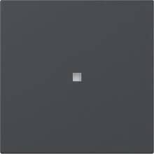 Gira 349028 Wippe mit Kontrollfenster, 1fach, System 55, Anthrazit (lackiert)