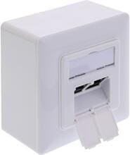 InLine Cat.6A Netzwerkdose, 2x RJ45, AP/UP, geschirmt, weiß, 76842A (76842A)