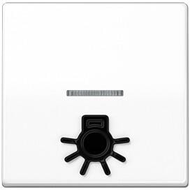 Jung SPAS591L1KO5WW Wippe 1fach, mit abtastbarem Symbol Licht, mit Lichtleiter, Duroplast antimikrobiell, alpinweiß