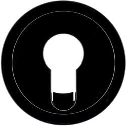 Berker 15072045 Zentralstück für Schlüsselschalter/-taster, R.1/R.3, schwarz glänzend