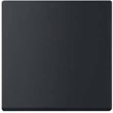 Busch-Jaeger 6735 BT-885 Wippe für Friends of Hue und Bluetooth (casambi) Smart Switch Einsatz , future® linear, 1-fach, schwarz matt (2CKA006730A0150)