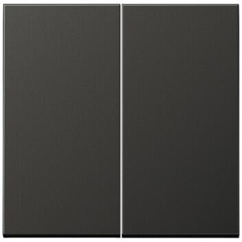 Jung AL1702D Steuertaste 2-fach Standard, anthrazit matt