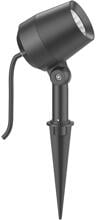 EVN LED Gartenspot, IP65, 3000K, 200-240V, 1,5m Zuleitung mit freien Aderenden, anthrazit