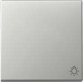 Gira 3285600 Wippe mit Symbol Licht, 1fach, System 55, Edelstahl