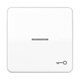 JUNG CD590KO5TWW Wippe mit Symbol "Schlüssel" und Lichtleiter, alpinweiß