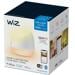 Wiz Squire LED Tischleuchte, 9W, 620lm, 2200-6500K, IP20, weiß (929002690301)