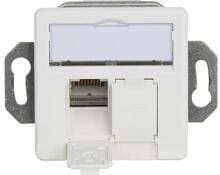 Telegärtner Anschlussdose AMJ45/B 8/8 K Up/50 Cat.6A, Bodentankeinbau, 2xRJ45, alpinweiß, 5 Stück (100022957)