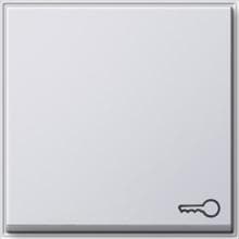 Wippe mit Symbol für Wippschalter und Wipptaster Tür, TX_44 Unterputz Wassergeschützt, reinweiß glänzend, Gira 028766