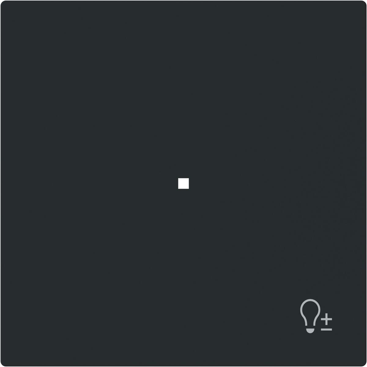 Busch-Jaeger 6234-10-45M Wippe, art-linear, 1-fach, Symbol Dimmer, schwarz matt (2CKA006220A0935)