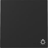 Gira 3285005 Wippe mit Symbol Licht, 1fach, System 55, schwarz matt (lackiert)