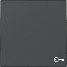 Gira 328728 Wippe mit Schlüssel/Türsymbol, 1fach, System 55, Anthrazit (lackiert)