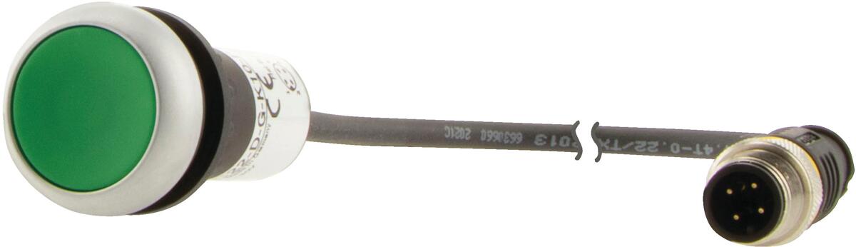 185590 C22 DRL G K10 24 P62 | Eaton C22 Beleuchtete Drucktaste Grün