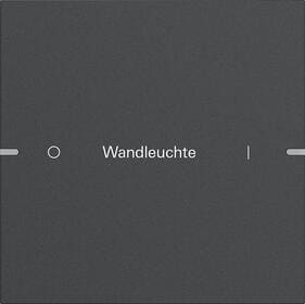 Gira 5031928 Wippenset 1fach individuell für Tastsensor 4, Anthrazit