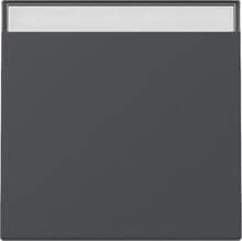 Gira 329928 Wippe mit Beschriftungsfeld, 1fach, System 55, Anthrazit (lackiert)