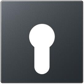 Jung A 525 PL ANM Abdeckung für Schlüsselschalter, Thermoplast lackiert, anthrazit matt