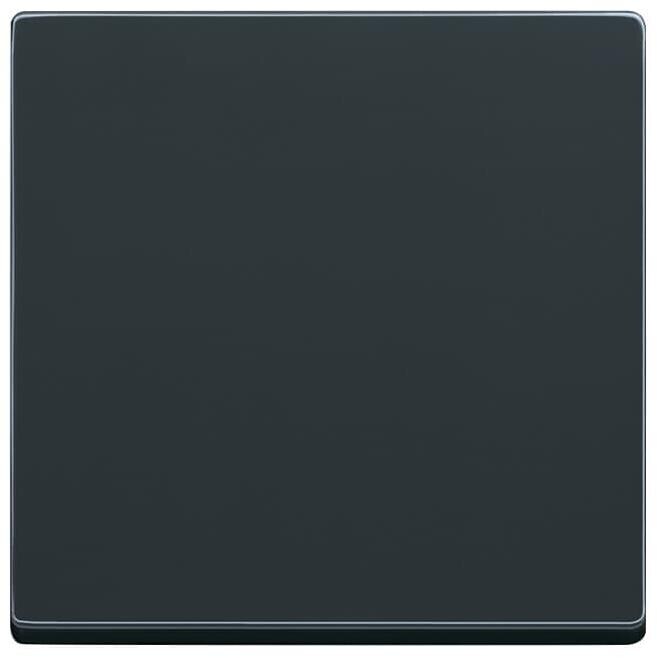 Busch-Jaeger 6735 BT-81 Wippe für Dimmer, Smart-Switch Einsatz, future linear, Plattform 63, anthrazit (2CKA006730A0142)