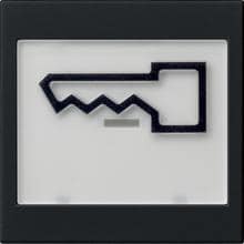 Gira 0218005 Wippe mit Beschriftungsfeld und abtastbarem Symbol "Tür", System 55, schwarz matt