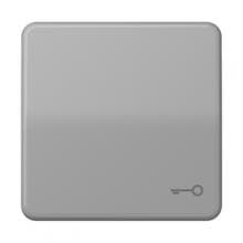Jung CD590TGR Wippe mit Symbol "Schlüssel", grau