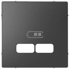 Merten MEG4367-6034 Zentralplatte für USB Ladestation-Einsatz, System Design, anthrazit