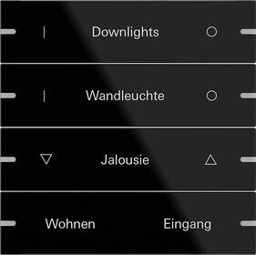 Gira 503405 Wippenset 4fach individuell für Tastsensor 4, Glas Schwarz